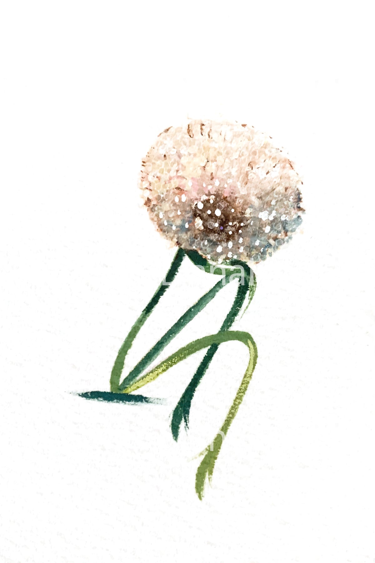 Wishful Thinking 10 fine art print
