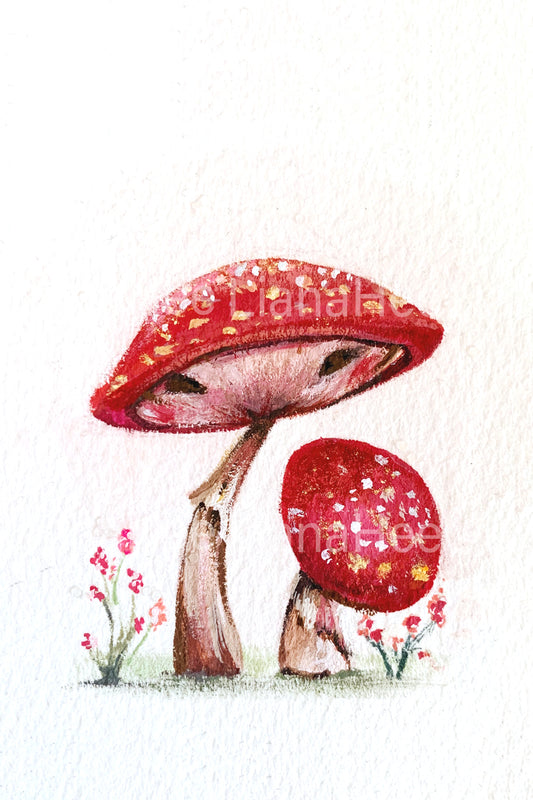 Sweet Mushrooms 1 fine art print